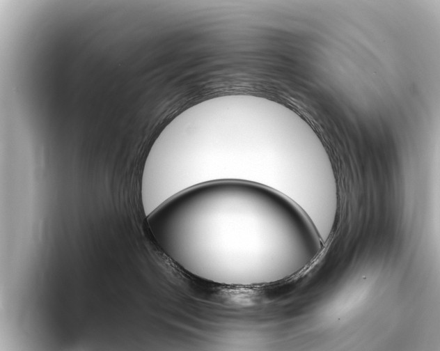 X0000093770190200710160904