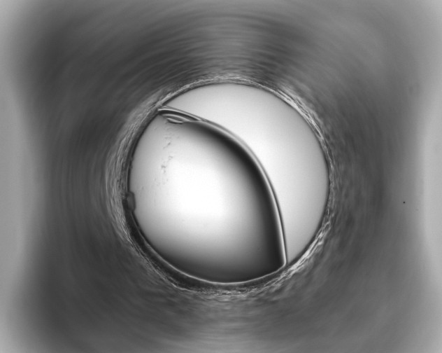 X0000093770193200710160903