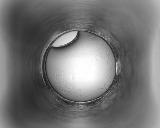 X0000093770195200710160903