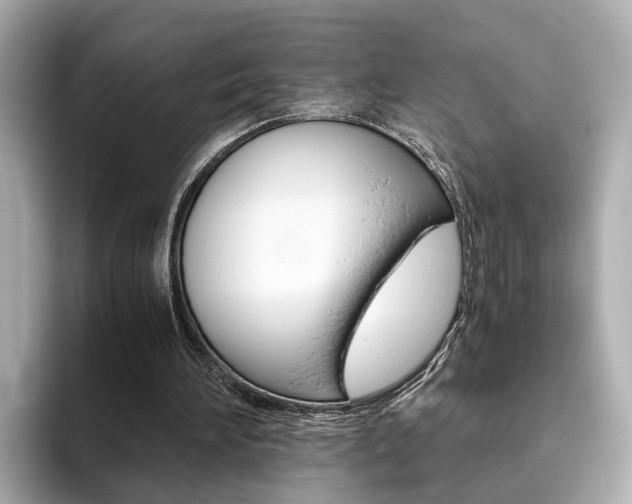 X0000093770196200710160903