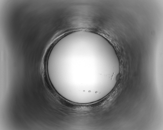 X0000093770198200710160903