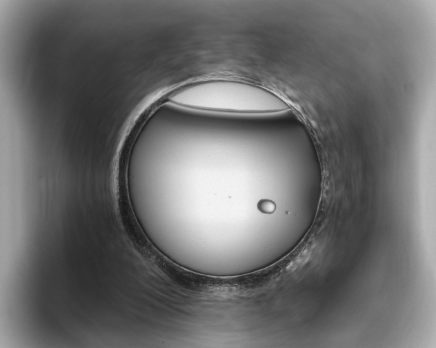 X0000093770200200710160903
