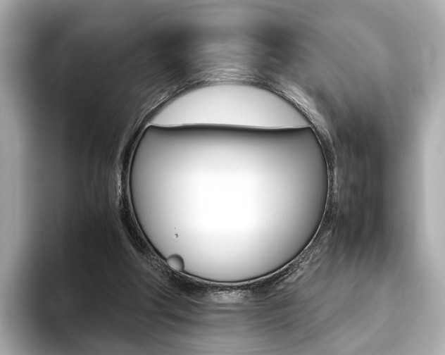 X0000093770202200710160903