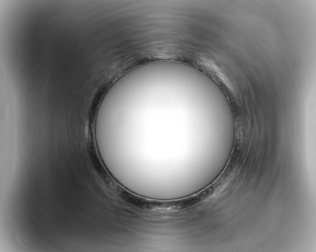 X0000093770213200710160903