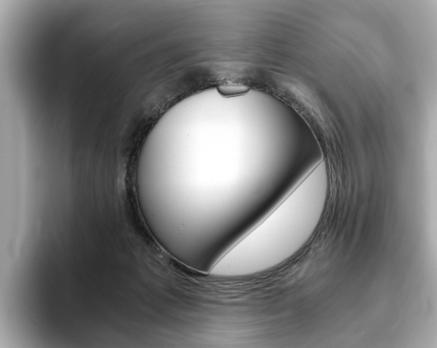 X0000093770221200710160903