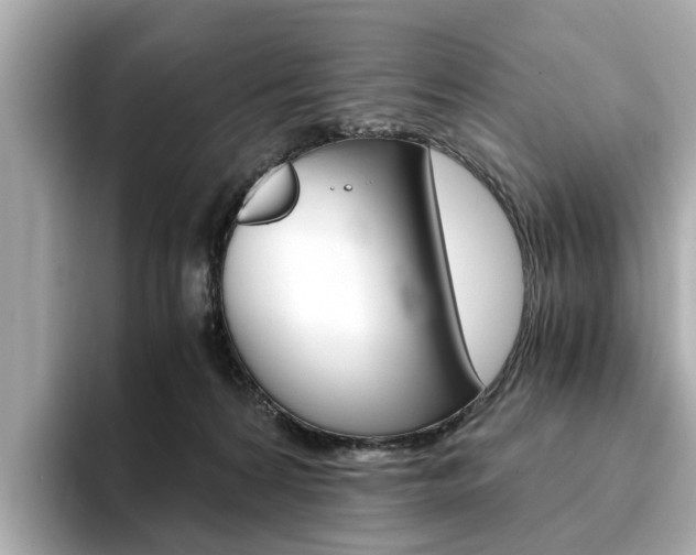X0000093770224200710160903
