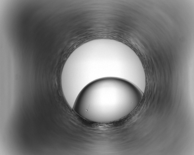 X0000093770229200710160903