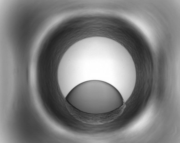 X0000093770239200710160902