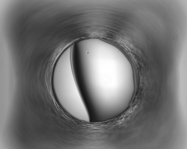 X0000093770241200710160902