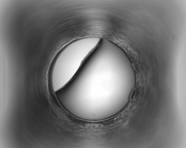 X0000093770242200710160902