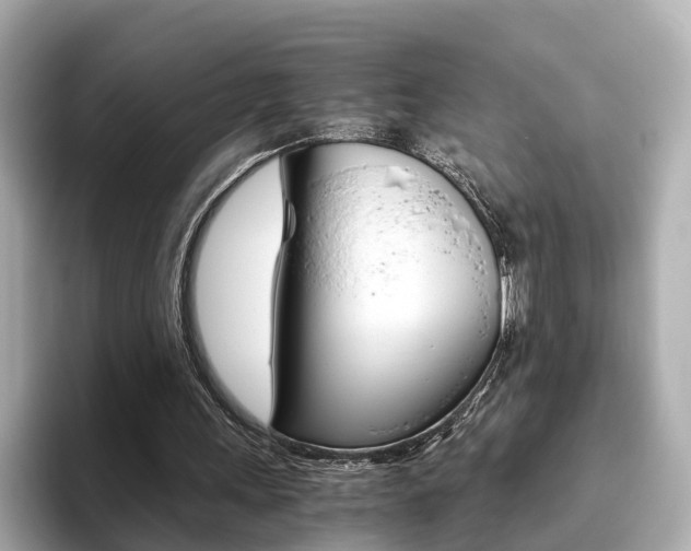 X0000093770243200710160902