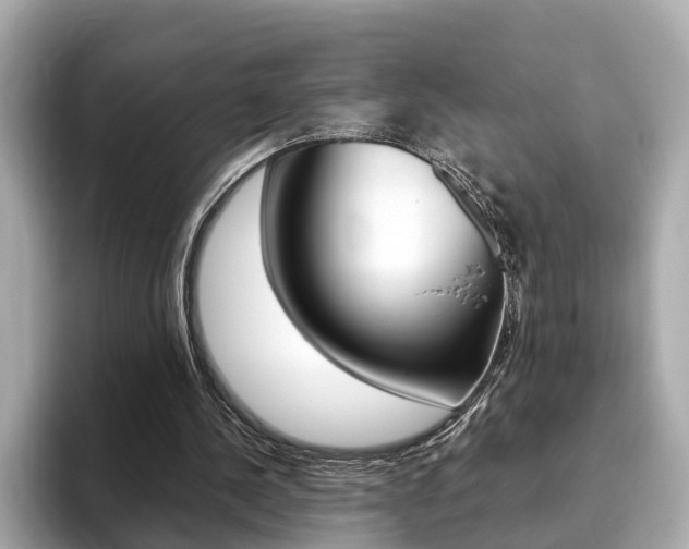X0000093770244200710160902