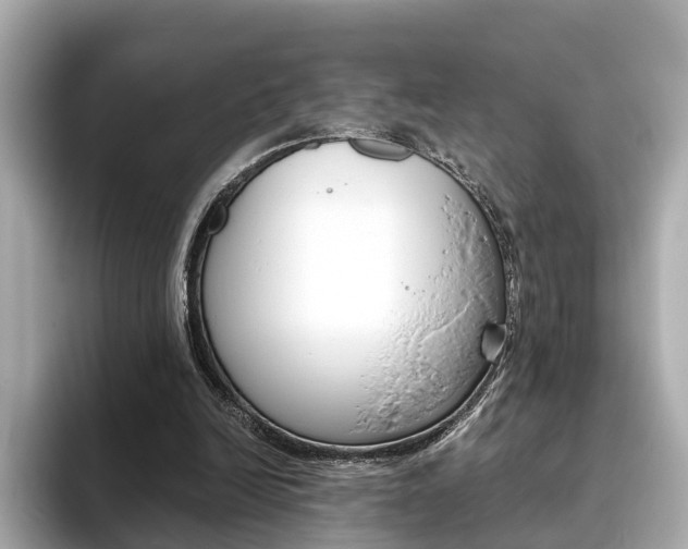 X0000093770246200710160902