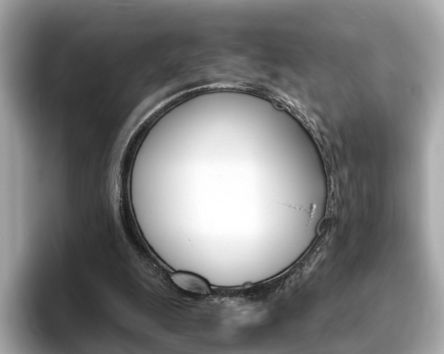 X0000093770247200710160902