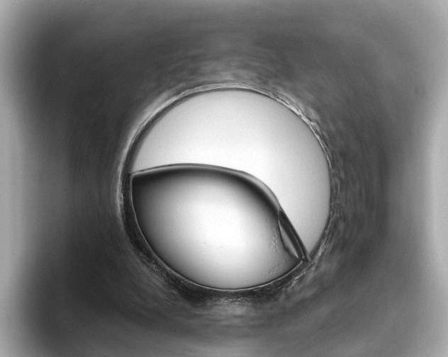 X0000093770248200710160902