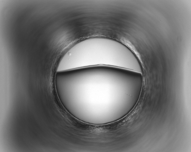X0000093770249200710160902
