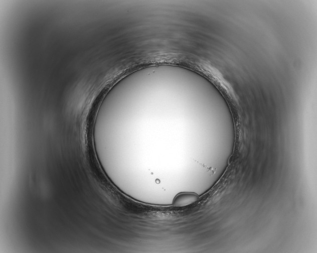 X0000093770250200710160902