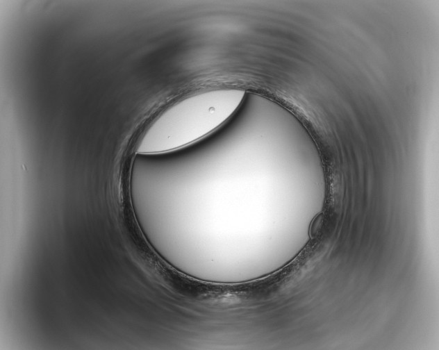 X0000093770254200710160902