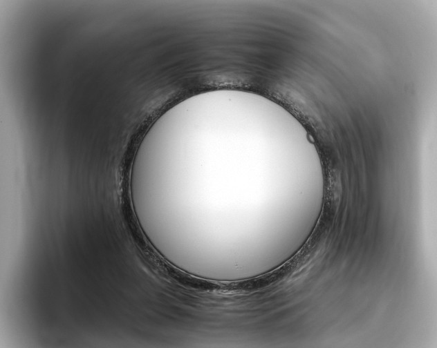 X0000093770255200710160902