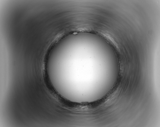X0000093770260200710160902