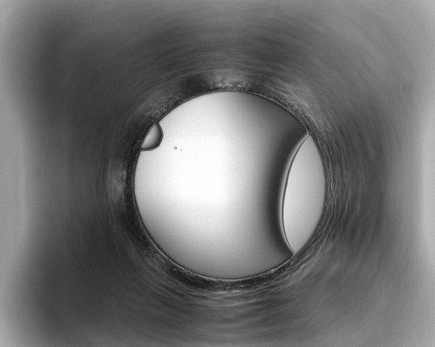 X0000093770263200710160902