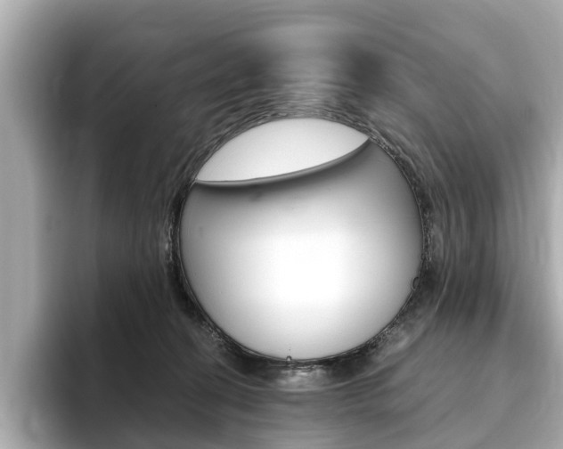 X0000093770274200710160902