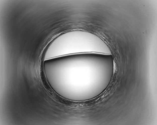X0000093770291200710160902