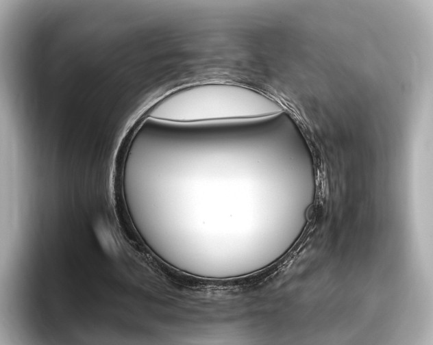 X0000093770292200710160902