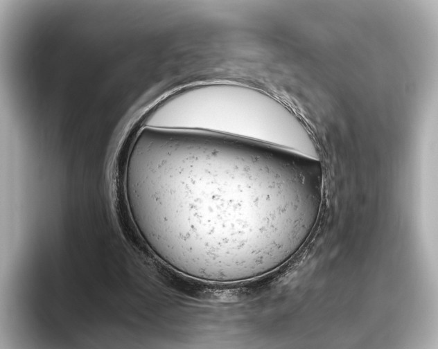 X0000093770295200710160902