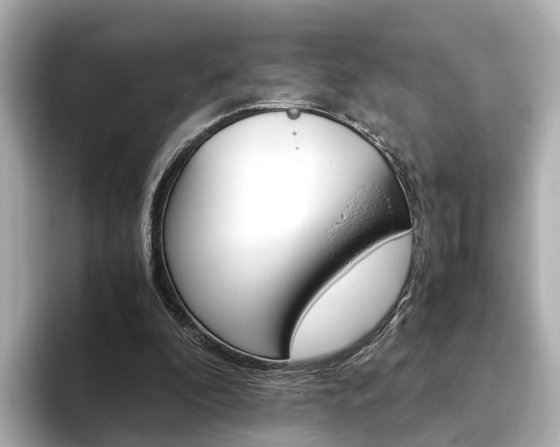 X0000093770296200710160902