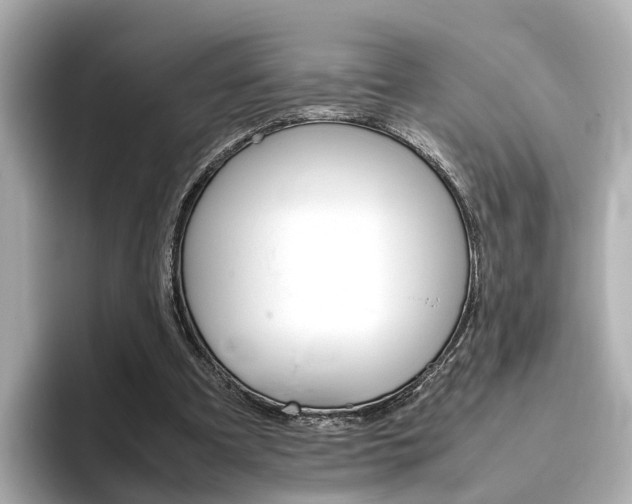 X0000093770297200710160902