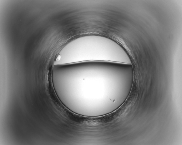X0000093770299200710160902