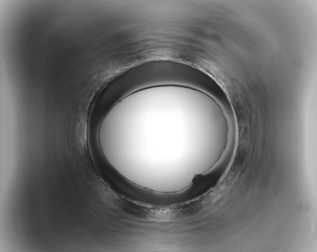 X0000093770301200710160902