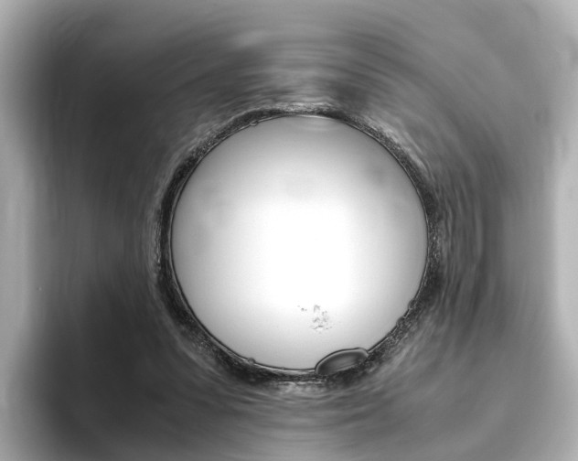 X0000093770303200710160902