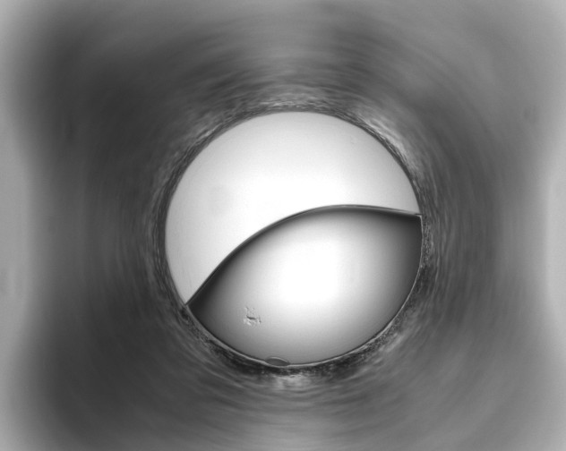 X0000093770309200710160902