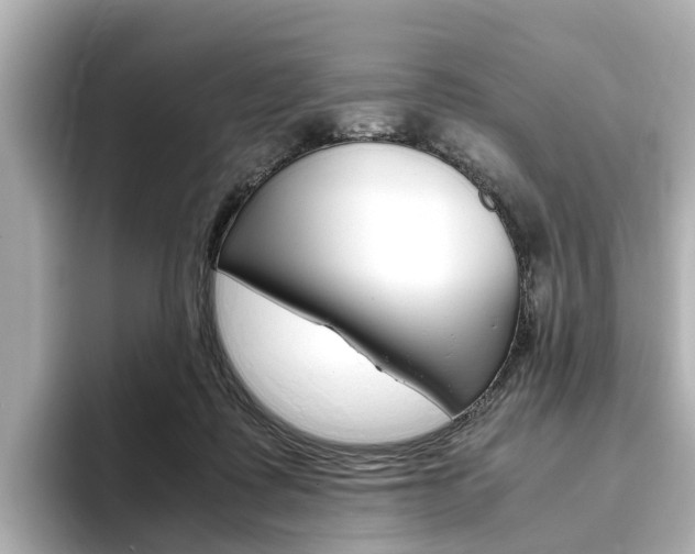 X0000093770315200710160901