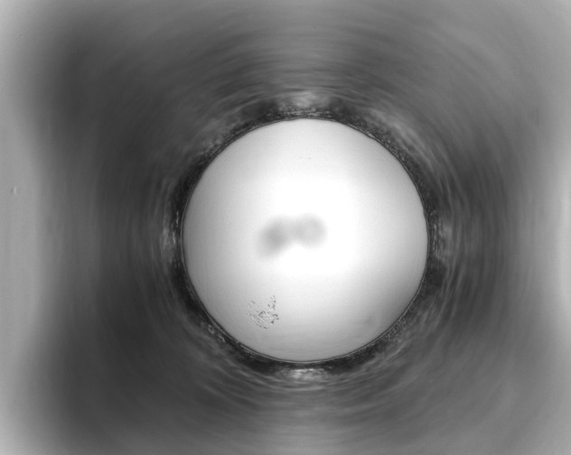 X0000093770324200710160901