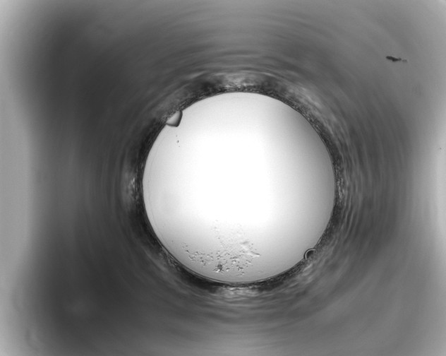 X0000093770327200710160901