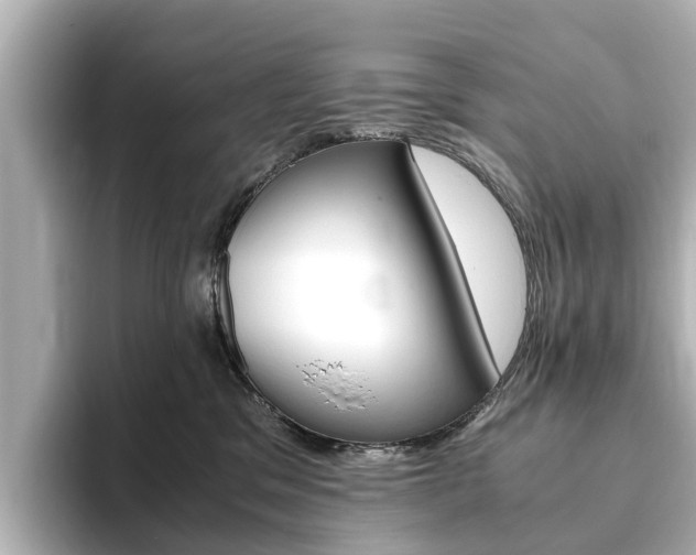X0000093770329200710160901