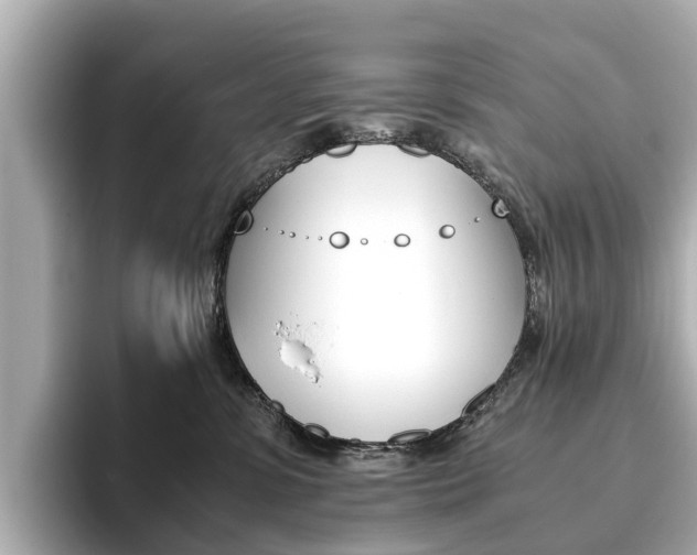 X0000093770331200710160901