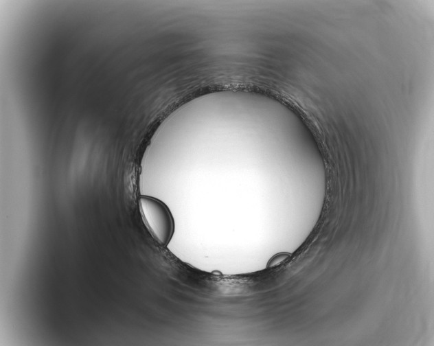 X0000093770336200710160901