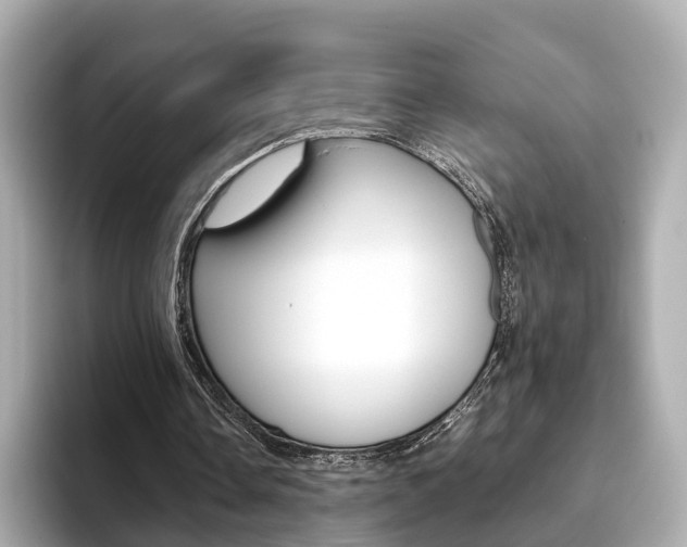 X0000093770338200710160901