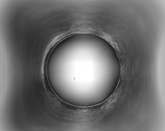 X0000093770340200710160901