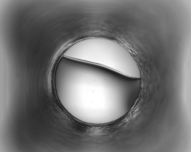 X0000093770341200710160901