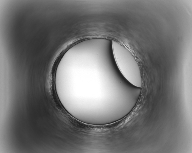 X0000093770342200710160901