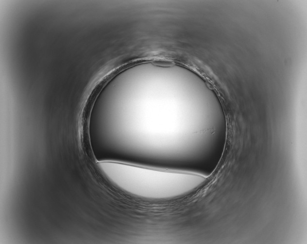 X0000093770344200710160901