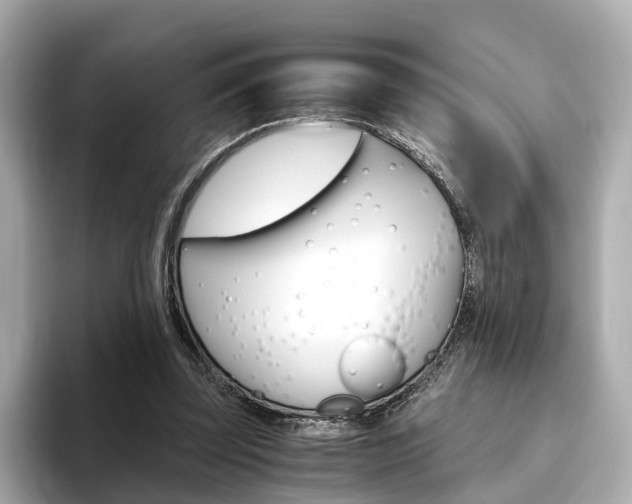 X0000093770347200710160901