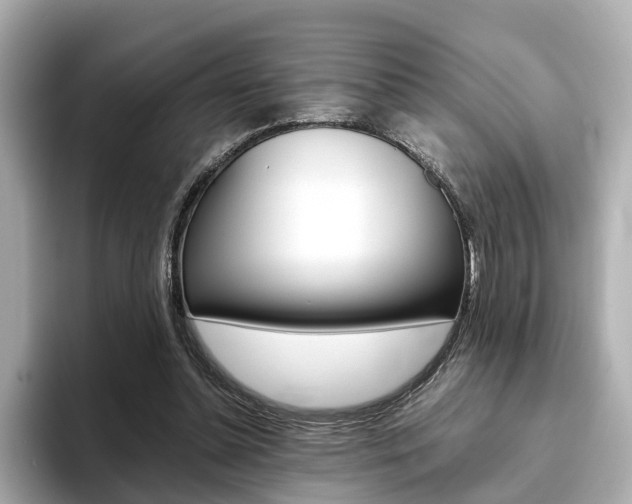 X0000093770348200710160901