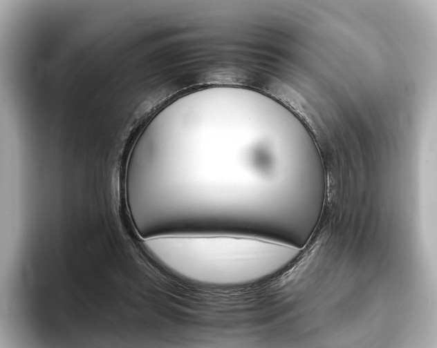 X0000093770349200710160901