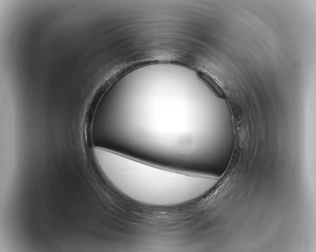 X0000093770350200710160901